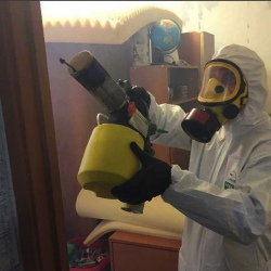 Уничтожение клопов в квартире. Бутырский район 